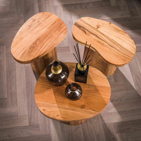 Ensemble de table basse ronde de 3 Adam robuste Bois d'acacia