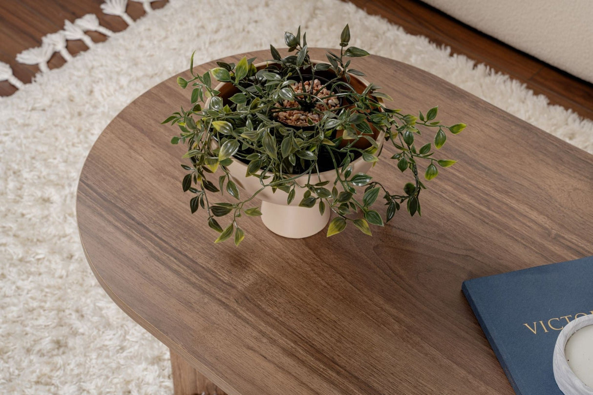 Salontafels - Ovale salontafel walnoot melamine - Japandi - 119x60 cm - Sota - Dimehouse