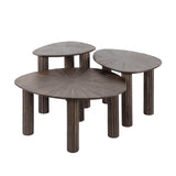 Ensemble de table basse de 3 Myla Triangulaire en Teck Brun 