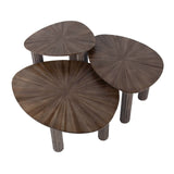 Ensemble de table basse de 3 Myla Triangulaire en Teck Brun 