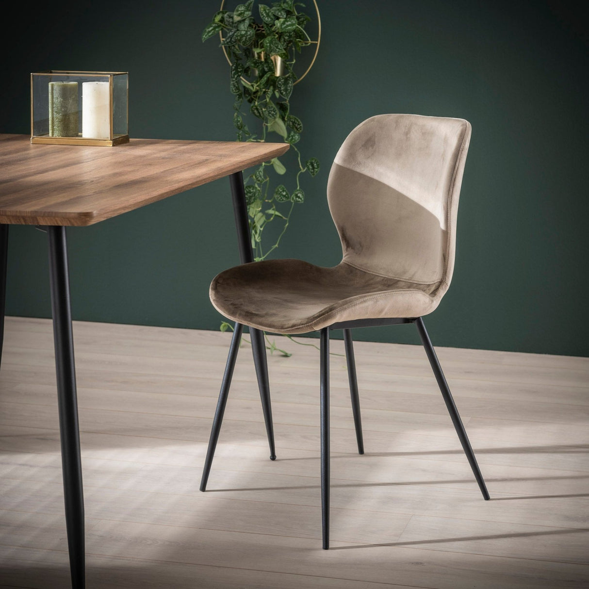 Ensemble de 4 chaises de salle à manger Argo Velours champagne 