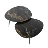 Niora Ensemble de tables basses organiques de 2 pièces en céramique Fossil Noir 